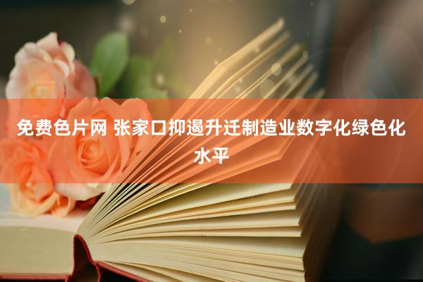 免费色片网 张家口抑遏升迁制造业数字化绿色化水平