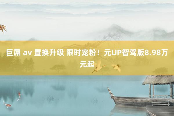 巨屌 av 置换升级 限时宠粉！元UP智驾版8.98万元起