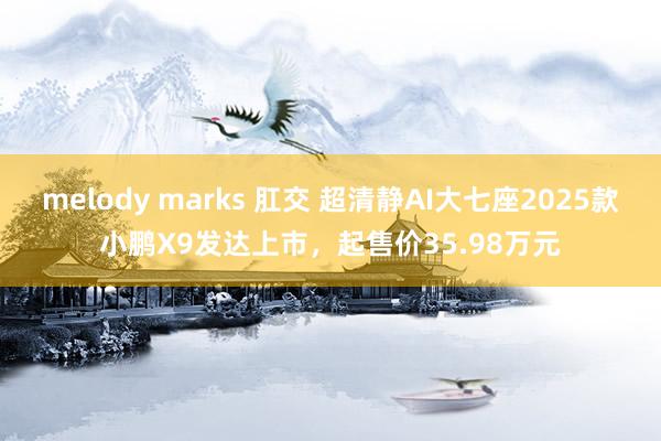 melody marks 肛交 超清静AI大七座2025款小鹏X9发达上市，起售价35.98万元