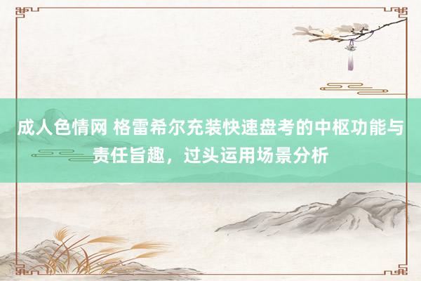 成人色情网 格雷希尔充装快速盘考的中枢功能与责任旨趣，过头运用场景分析