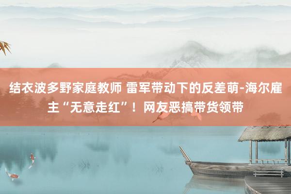 结衣波多野家庭教师 雷军带动下的反差萌-海尔雇主“无意走红”！网友恶搞带货领带