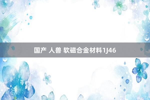 国产 人兽 软磁合金材料1J46