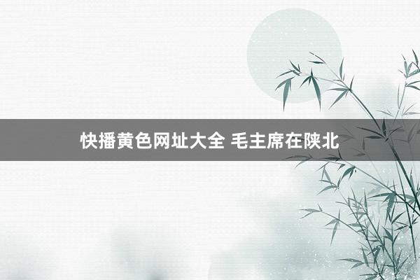 快播黄色网址大全 毛主席在陕北