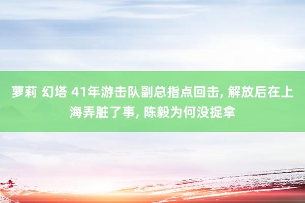 萝莉 幻塔 41年游击队副总指点回击, 解放后在上海弄脏了事, 陈毅为何没捉拿
