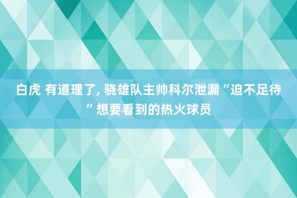 白虎 有道理了, 骁雄队主帅科尔泄漏“迫不足待”想要看到的热火球员