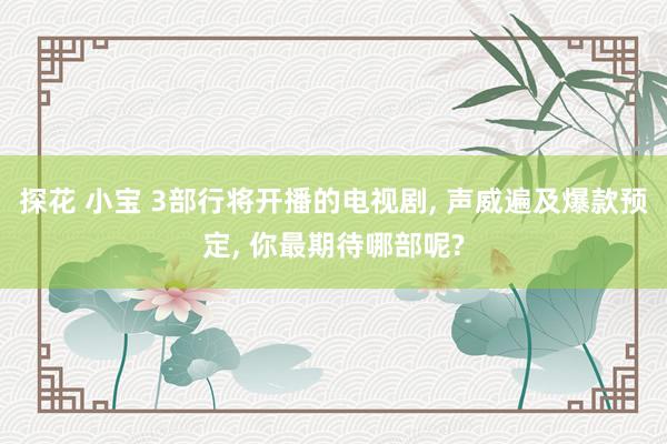 探花 小宝 3部行将开播的电视剧, 声威遍及爆款预定, 你最期待哪部呢?
