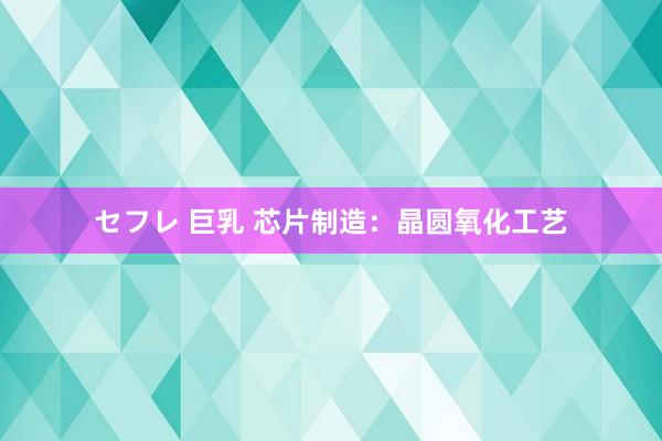 セフレ 巨乳 芯片制造：晶圆氧化工艺