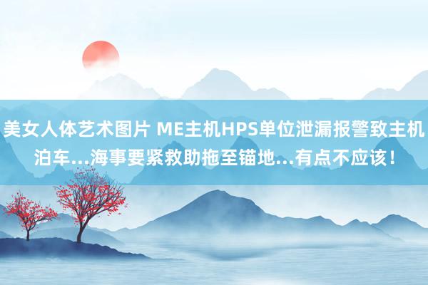 美女人体艺术图片 ME主机HPS单位泄漏报警致主机泊车...海事要紧救助拖至锚地...有点不应该！