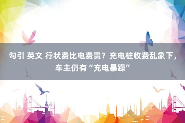 勾引 英文 行状费比电费贵？充电桩收费乱象下，车主仍有“充电暴躁”