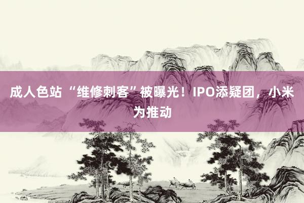 成人色站 “维修刺客”被曝光！IPO添疑团，小米为推动